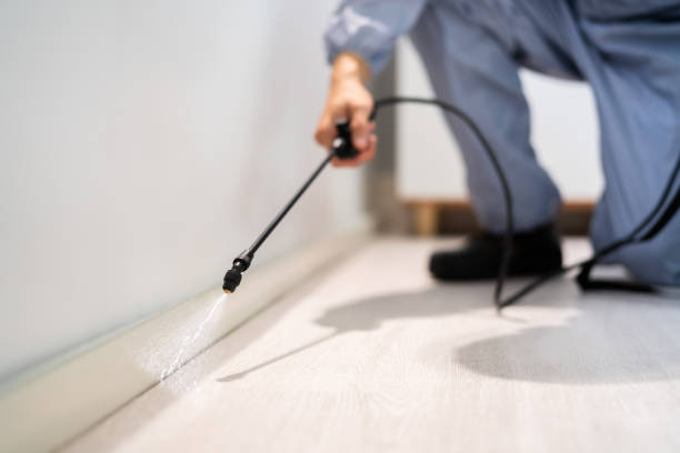 Bed Bug Pre-Treatment Preparation Assessment in Depoe Bay