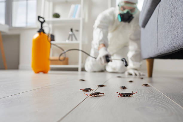 Post-Treatment Bed Bug Interceptor Monitoring in Depoe Bay