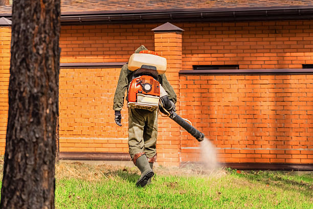 Bed Bug Clearance Verification and Documentation in Depoe Bay